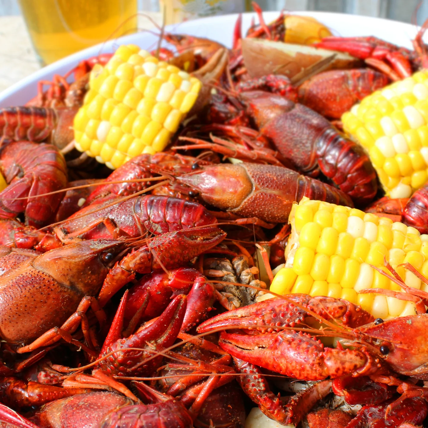 Crawfish - Image 3