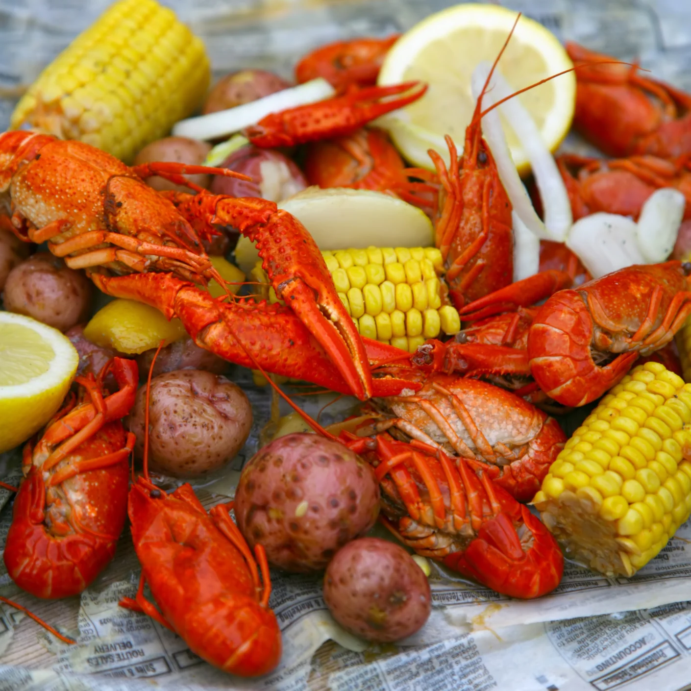 Crawfish - Image 4
