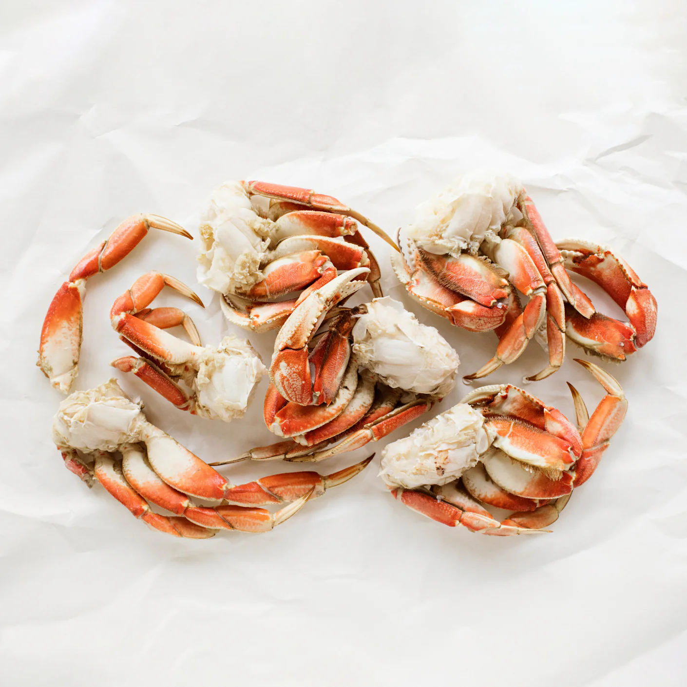 Dungeness Crab - Image 3