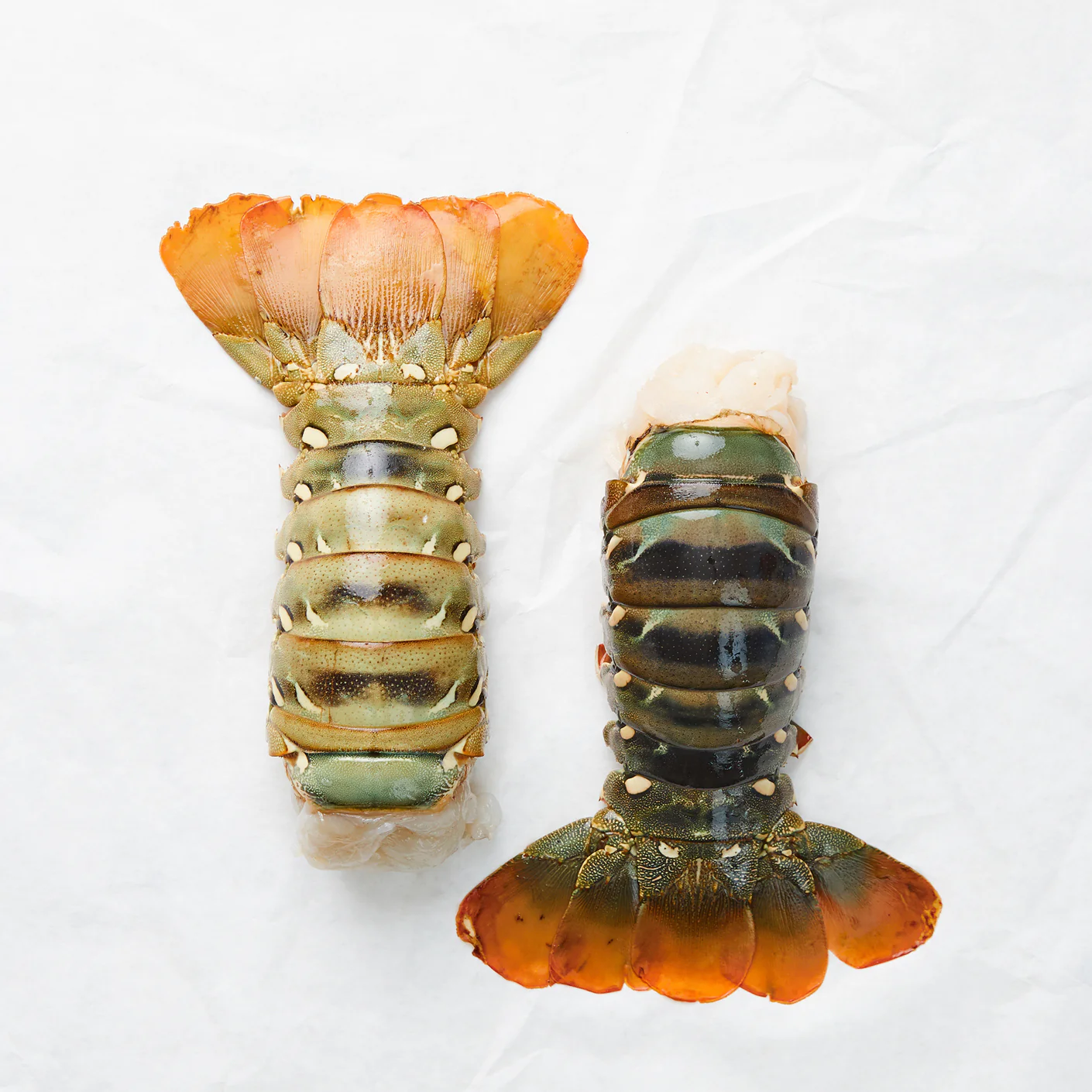 Surf and Turf - Image 4