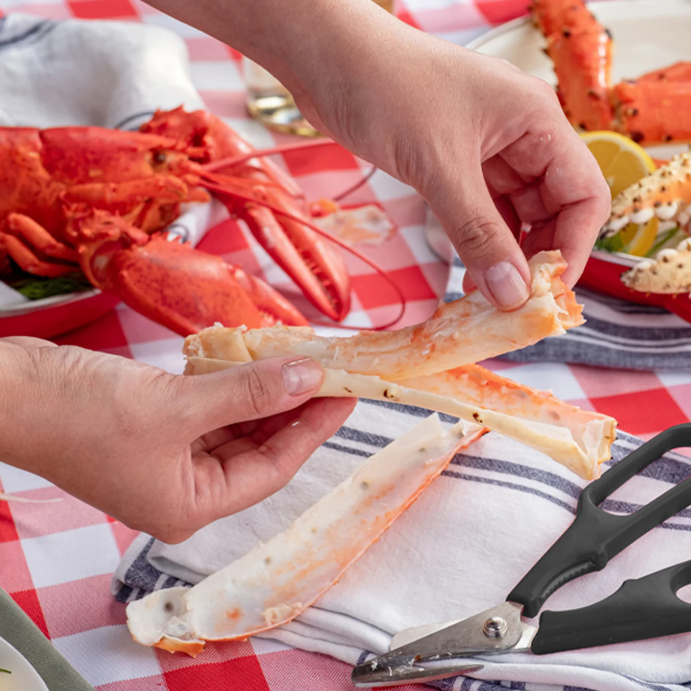 Mr. Stick's Original Seafood Shears - Image 4