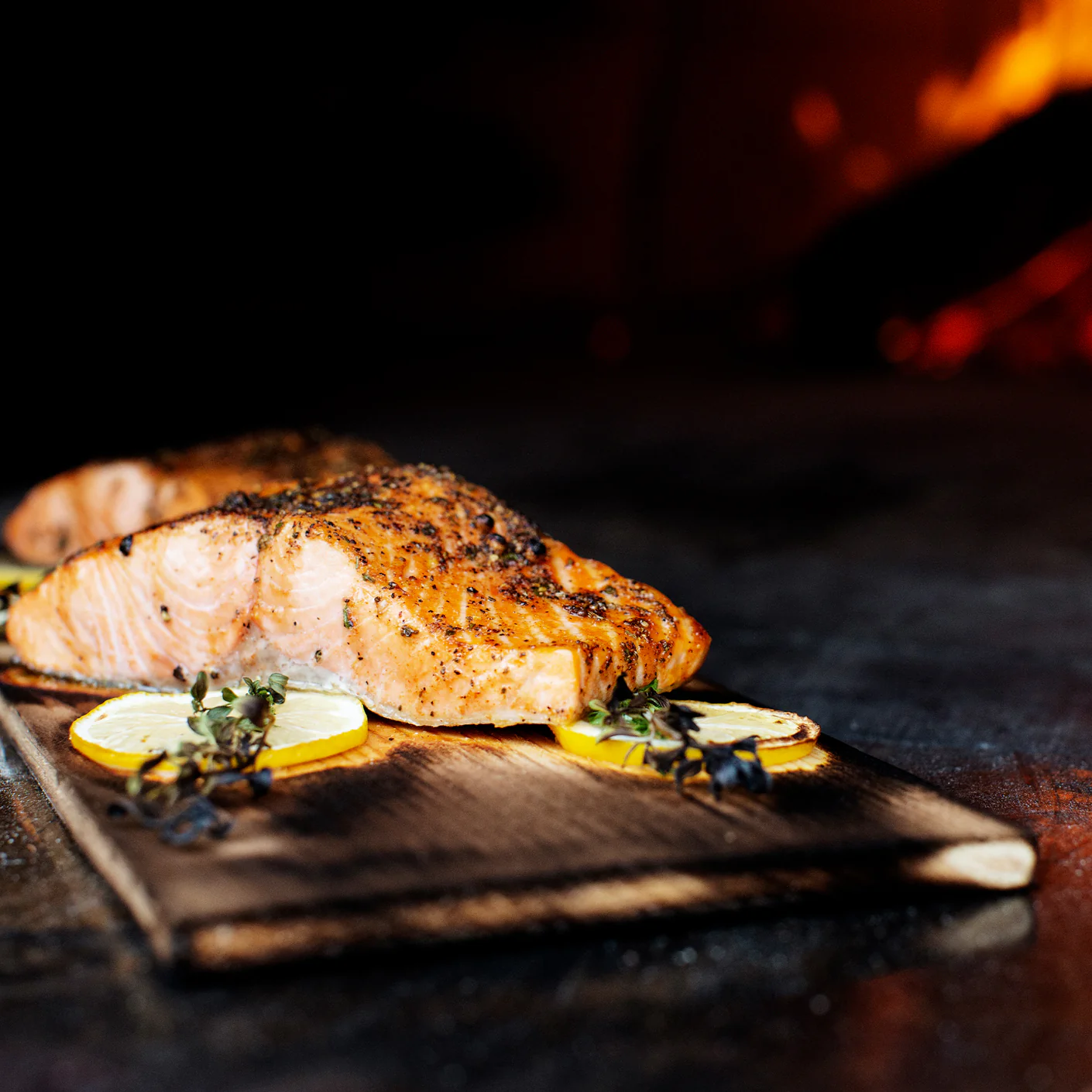 Coho Salmon - Image 3